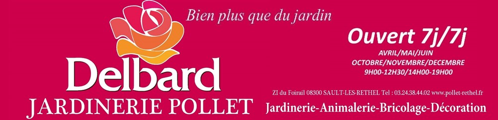 pollet delbard noto