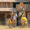 2 entrées pour le spectacle de chevalerie au château fort de Sedan