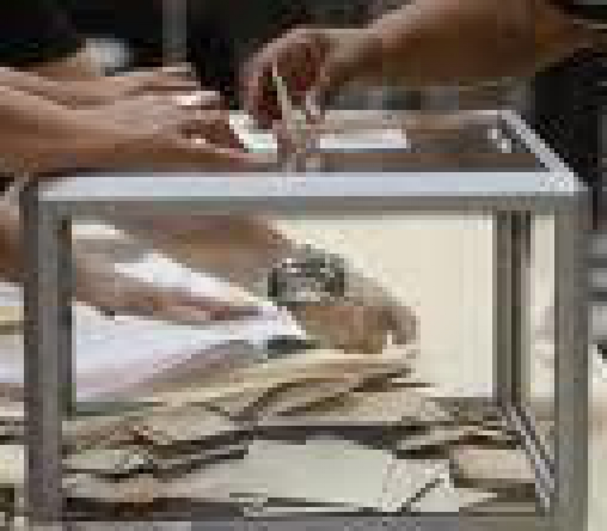 Radio 8 Ardennes Elections législatives Le point sur les résultats