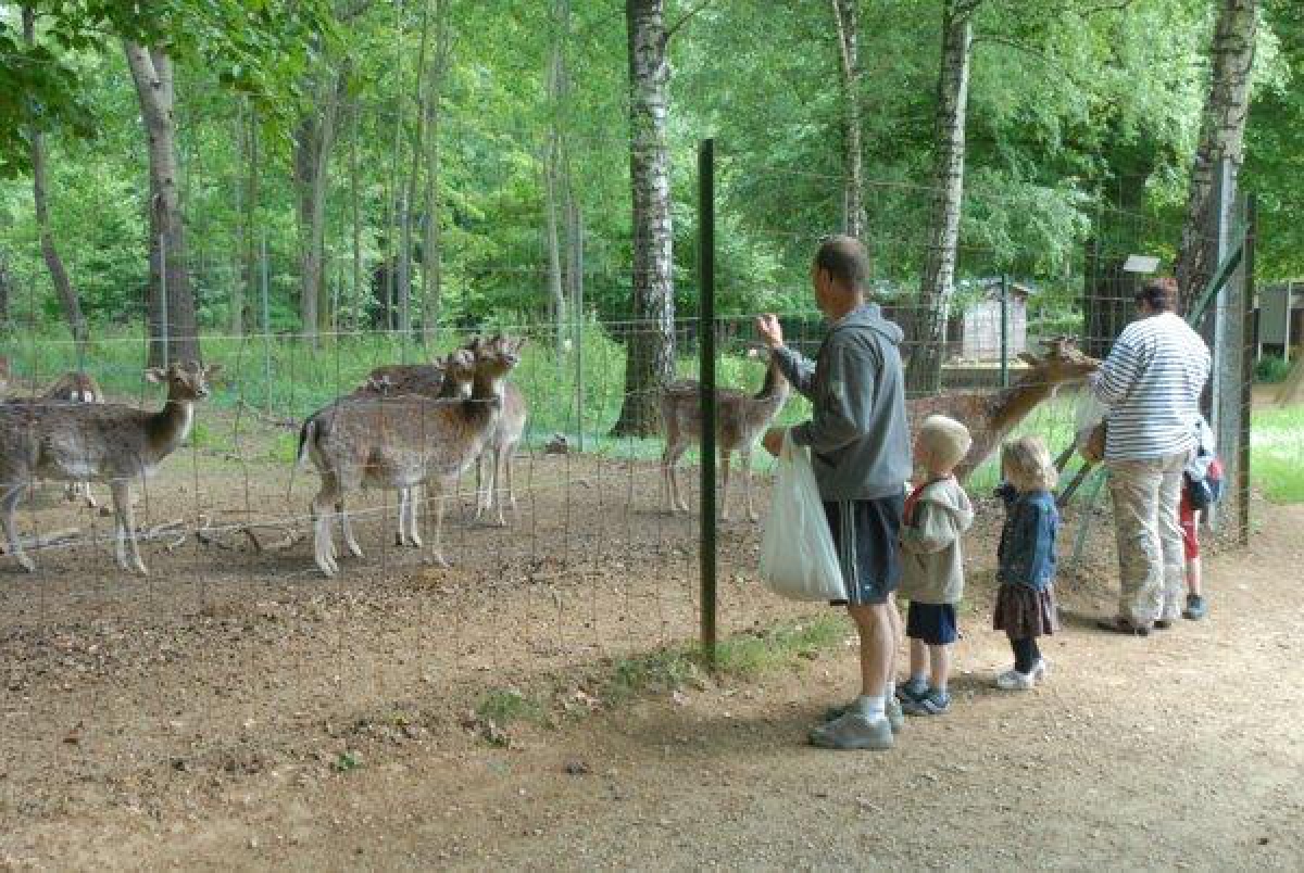 Radio 8 Ardennes Réouverture du Parc animalier de CharlevilleMézières.