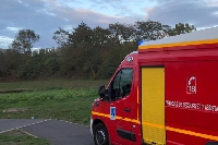 Un homme blessé par la chute d'un arbre