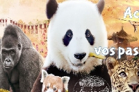 Actuellement écoutez RADIO 8 et partez pour PAIRI DAIZA !!