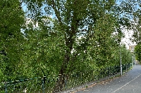 Sedan : Un projet de piste cyclable du quai de la Régente à l’Esplanade du Lac