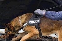 Les brigades canines de la police des Ardennes bientôt supprimées ?