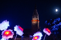 La Chronique « Sauvage », où le Journal de Bord du Cabaret Vert 2024 : « Je me demande si le format des festivals de rock n'est pas mort »