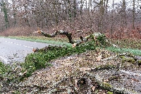 Intempéries liées à la tempête Benjamin, une vingtaine d'interventions des secours