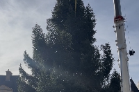 Charleville-Mézières : un sapin de 18 mètres de haut installé sur la place Ducale 