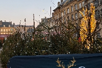 Le Marché de Noël de Sedan : Une Magie Festive au Cœur de l’Avent