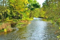 « Pollution aux PFAS des rivières , les cours d’eau sont impactés et peut-être les poissons  » Michel Adam président de la Fédération pour la pêche dans les Ardennes 