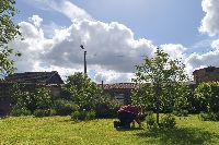 Jardin botanique de Sedan : quand les enfants mettent les mains dans la terre pour apprendre le jardinage