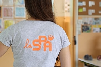 Des marionnettes contre la maltraitance animale : La SPA débarque dans les classes Ardennaises