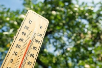 Le département des Ardennes bascule en vigilance orange canicule ce vendredi midi 