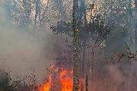 Ardennes : Incendie ce week end à Monthérmé 95 hectares brulés