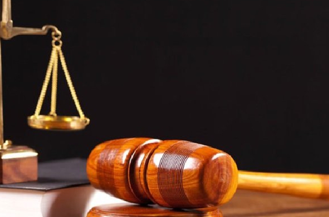 L’écoberger Ardennais, condamné pour mauvais traitement sur ses brebis, voit son cheptel confisqué par la justice