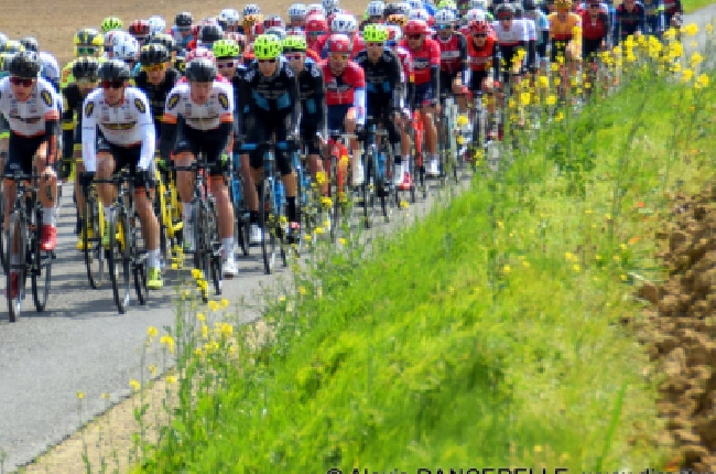 Cyclisme : la 48é édition du Circuit des Ardennes se déroulera du 6 au 9 avril  