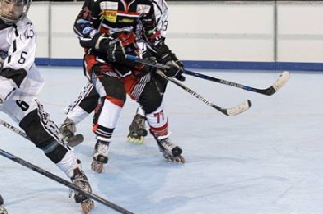 Roller Hockey ( Ligue Élite ) :  les Diables chutent à la maison face à Grenoble 