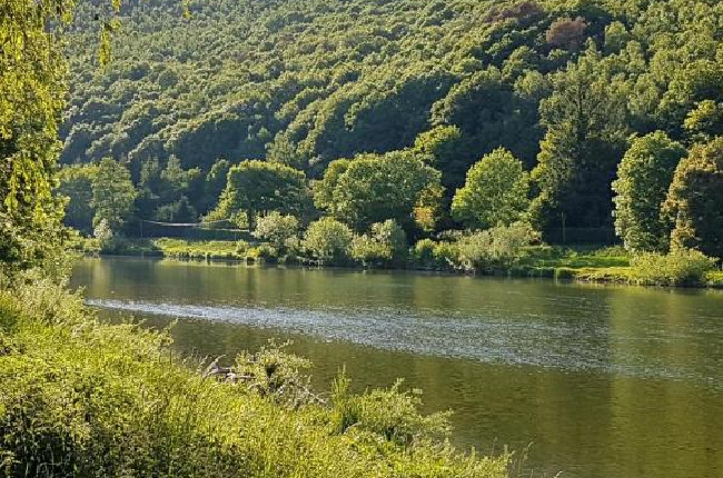 Revin : un jeune homme se jette à l'eau pour sauver son chien 