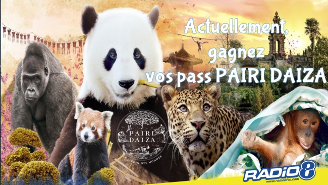 Actuellement , gagnez vos pass pour PAIRI DAIZA sur Radio 8 !