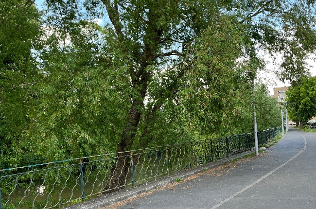 Sedan : Un projet de piste cyclable du quai de la Régente à l’Esplanade du Lac