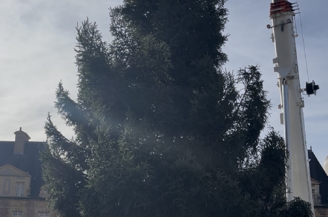 Charleville-Mézières : un sapin de 18 mètres de haut installé sur la place Ducale 