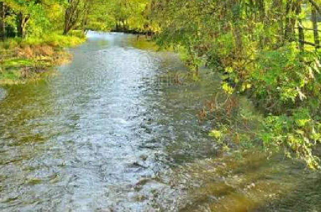 « Pollution aux PFAS des rivières , les cours d’eau sont impactés et peut-être les poissons  » Michel Adam président de la Fédération pour la pêche dans les Ardennes 